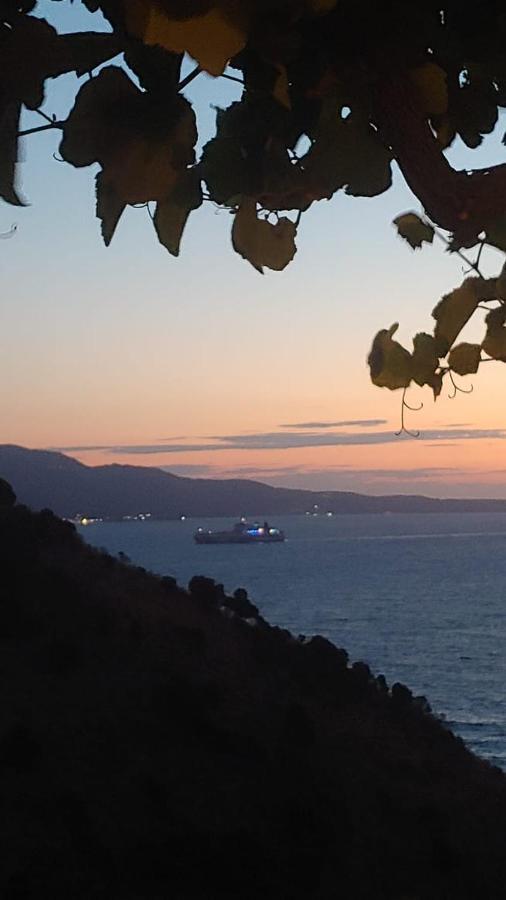 Orizzonte Blue *